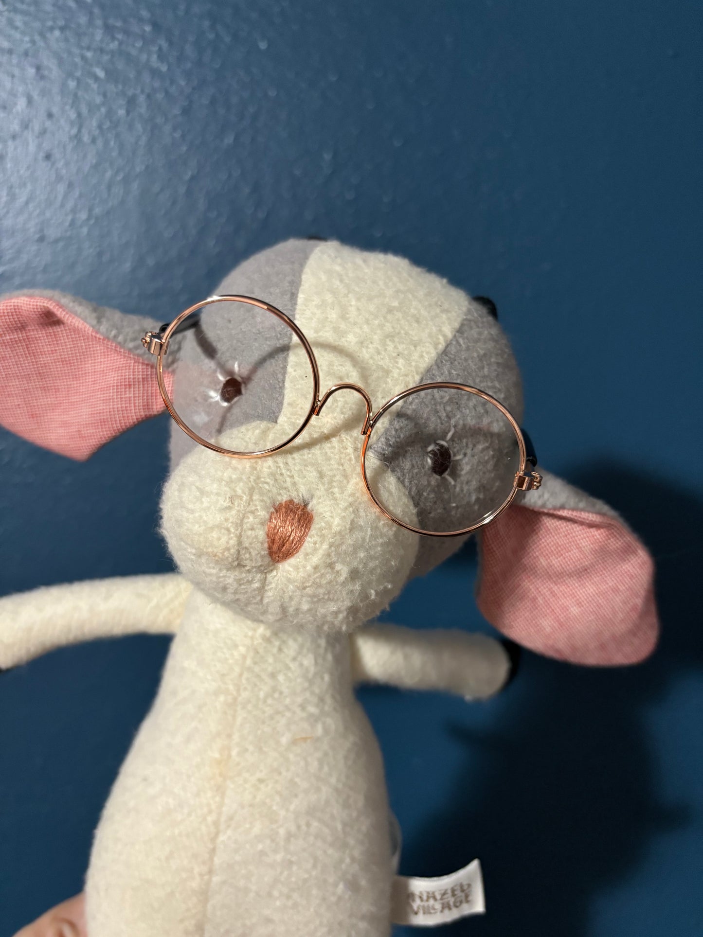 Eye Glasses